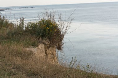 Baltık Denizi kıyısında, Ahrenshoop yakınlarında.