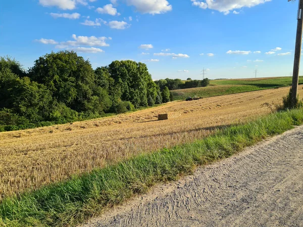 Сельское Хозяйство Тракторное Поле Колеса Покрыты Грязью Поля Заднем Плане — стоковое фото