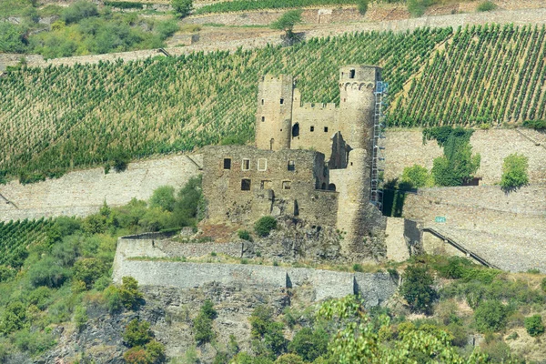 Ruine Der Burg Ehrenfels Ruedesheim Rhein Rheingau Hessen Alemanha — Fotografia de Stock