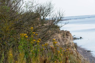 Baltık Denizi kıyısında, Ahrenshoop yakınlarında.