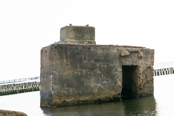 Kustbunkern Kustbunker Från Ww2 Östersjön Fischland Darss Zingst Tyskland — Stockfoto