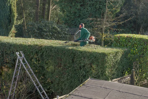 Sträucher Garten Zurückschneiden Gartenarbeit Herbst — Stockfoto