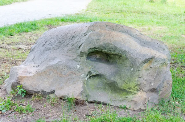 Head of a snake, reptile of  stone, geological phenomenon — Stock Photo, Image