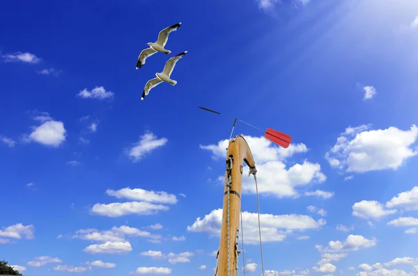 Detail sailboat mast with wind directional indicator — Stock Photo, Image