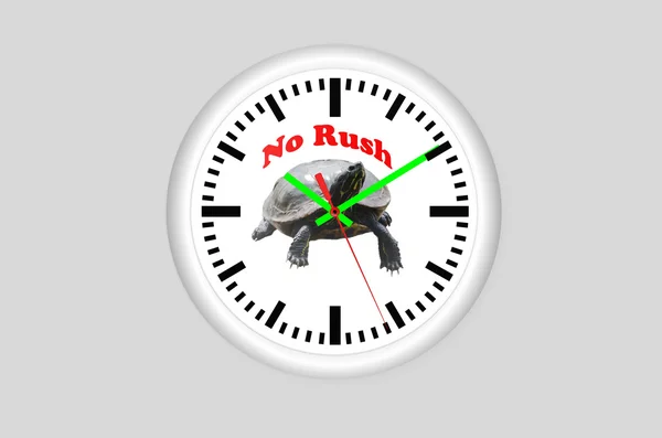 No Rush, orologio tartarughe — Foto Stock