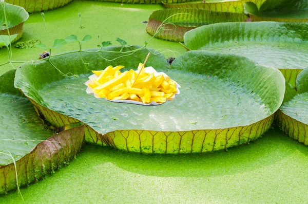 Lily pad with french fries — Stock Photo, Image