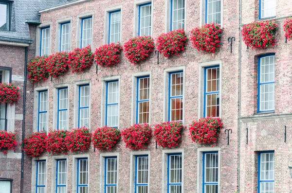 Dom fasada z kwietniki — Zdjęcie stockowe