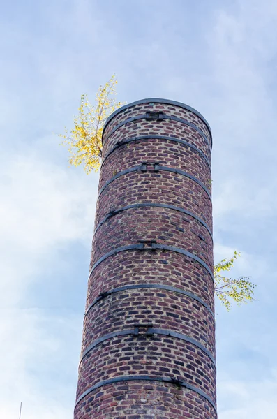 Old chimney, fireplace — Stock Photo, Image