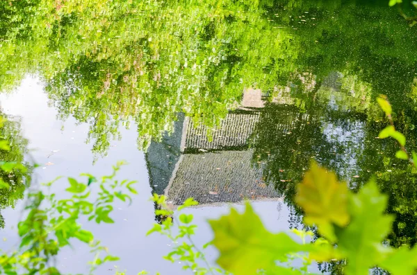 Reflexión, reflexión sobre el agua — Foto de Stock