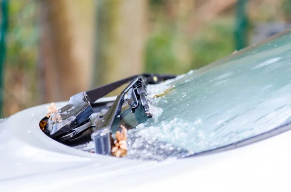 Buz gibi araba penceresi