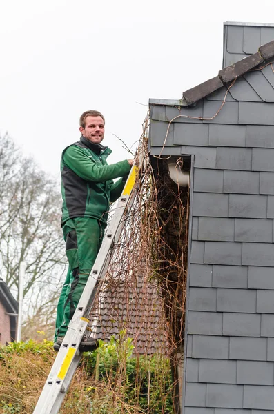 Gutter rengöring — Stockfoto