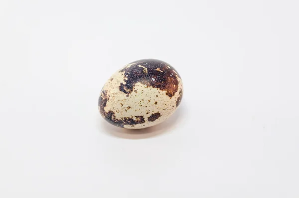 Huevo de codorniz — Foto de Stock