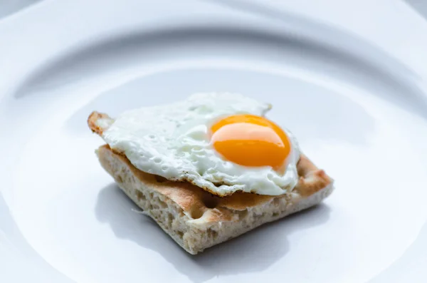 Small quail egg — Stock Photo, Image