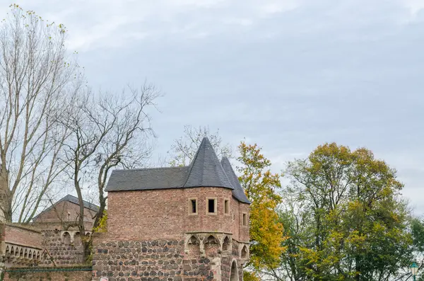 Fortaleza medieval Zons en Alemania . —  Fotos de Stock