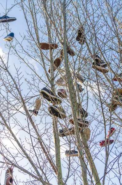 Viejo schottischeTraditon, Zapatilla lanzando o también llamado Shoefiti . — Foto de Stock