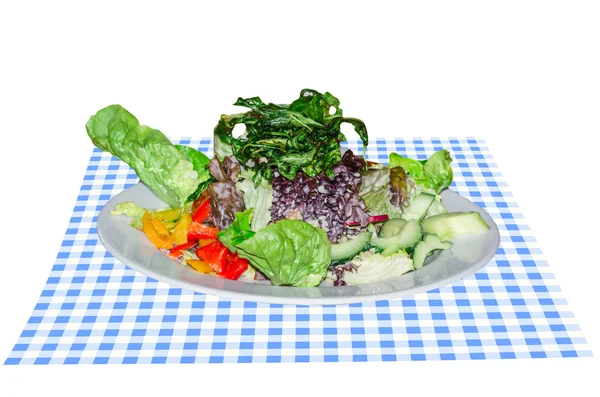 Salad plate on blue white table cloth — Stock Photo, Image