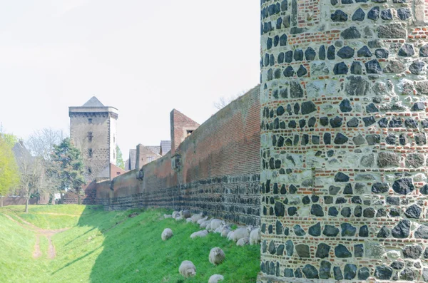 Mur médiéval avec forte — Photo
