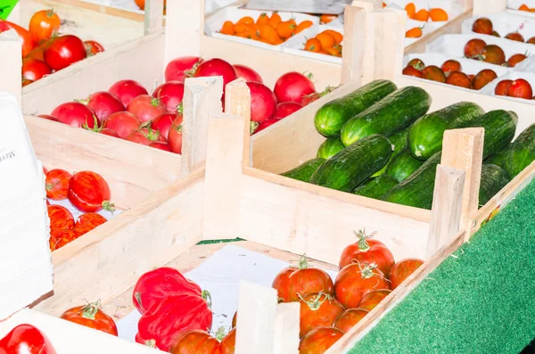 Tomates, pimientos y pepinos —  Fotos de Stock