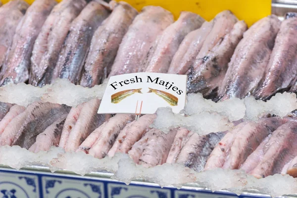 Peixe Matjes fresco no gelo resfriado para o mercado de peixe. Matjes frescos — Fotografia de Stock