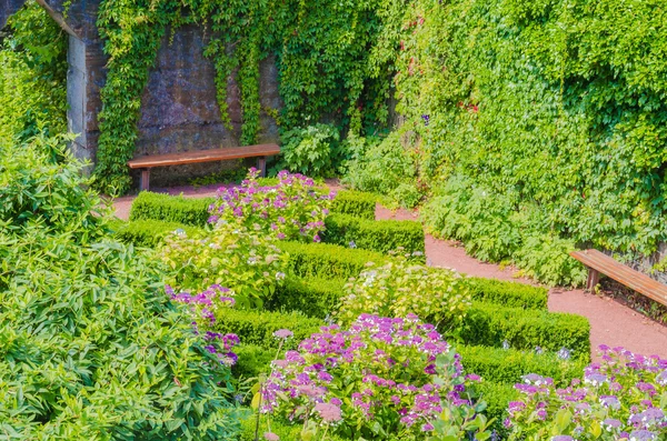 Kleiner Kräutergarten in einem Hinterhof.. Kleingartenanlage — Stockfoto
