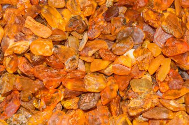 Closeup ambers Baltık Denizi     