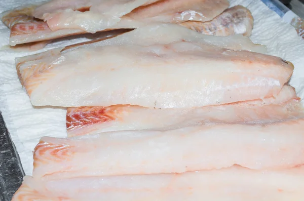 Филе свежей угольной рыбы — стоковое фото