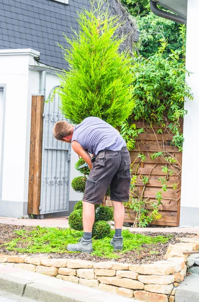 Bir hedge düzeltici bahçıvanla — Stok fotoğraf