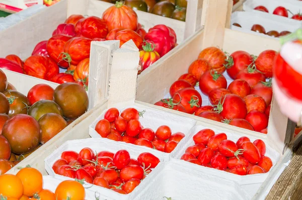 Różnych odmian pomidora. — Zdjęcie stockowe
