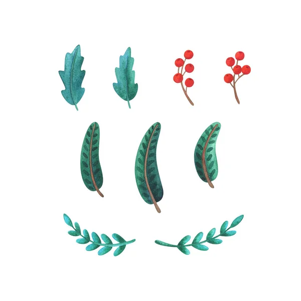 Grön Järnek Gran Röda Bär Julprydnadsväxter Akvarell Clipart Isolerad Vit — Stockfoto