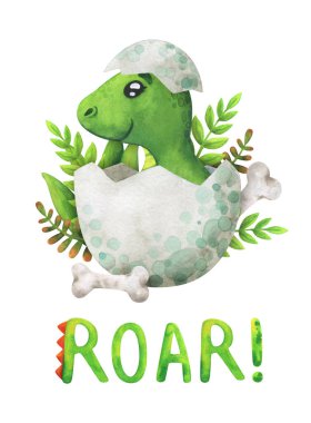 Yeşil bir yavru dinozor yumurtadan çıktı ve hırlıyor. Kabuğunda bir Tyrannosaurus olan çizgi film baskısı. Çocukların suluboya resimleri beyaz bir arkaplanda izole edilmiş. Dekor için sevimli bir karakter, çıkartmalar, tarihi hayvanların olduğu baskılar.