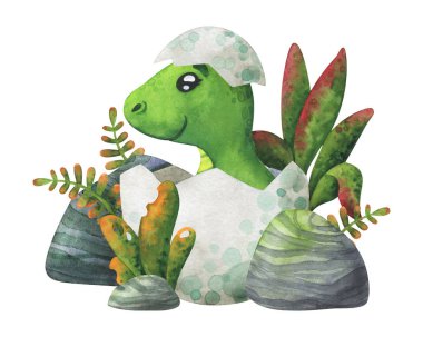 Ormandaki bir yumurtadan çıkan yeşil bir bebek dinozor. Kabuğunda bir tyrannosaurus olan çizgi film baskısı. Beyaz arka planda çocuk suluboya çizimi. Dekor için sevimli bir karakter, çıkartmalar, tarihi hayvanların olduğu baskılar.