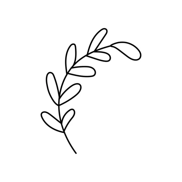 Doodle Com Plantas Folhagem Grama Ramo Ilustração Vetorial Linear Símbolos —  Vetores de Stock