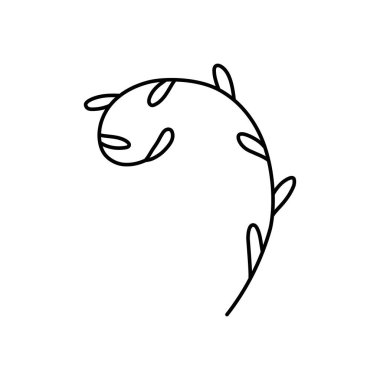 Bitkilerle, yapraklarla, otlarla, dallarla karalayın. Doğrusal vektör çizimi. El çizimi semboller ve tarz nesneler. Etiket, dekor, kartpostal, rozet, boyama kitabı, logo için basit, siyah çizim