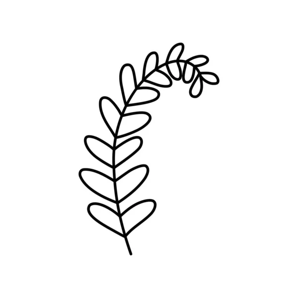 Doodle Met Planten Gebladerte Blad Gras Tak Lineaire Vectorillustratie Handgetekende — Stockvector