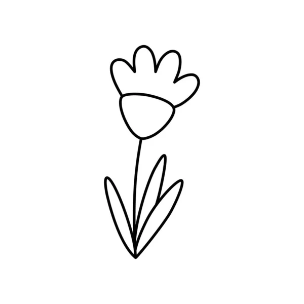 Doodle Com Plantas Flor Grama Tulipa Ilustração Vetorial Linear Símbolos —  Vetores de Stock
