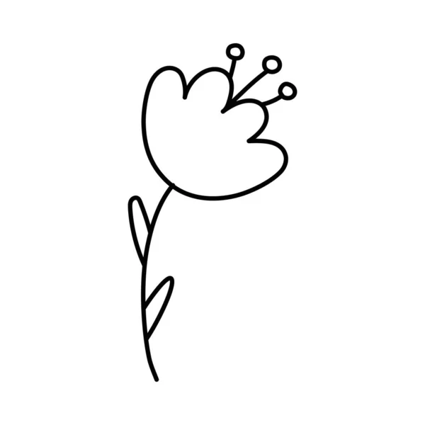Φυτά Λουλούδια Χορτάρι Τουλίπα Γραμμική Διανυσματική Απεικόνιση Ζωγραφισμένα Στο Χέρι — Διανυσματικό Αρχείο