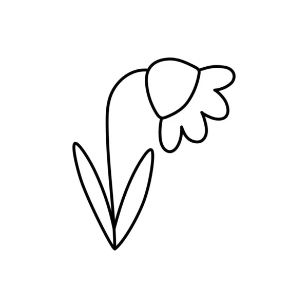 Garabato Con Plantas Flores Hierba Tulipán Ilustración Lineal Vectores Símbolos — Vector de stock