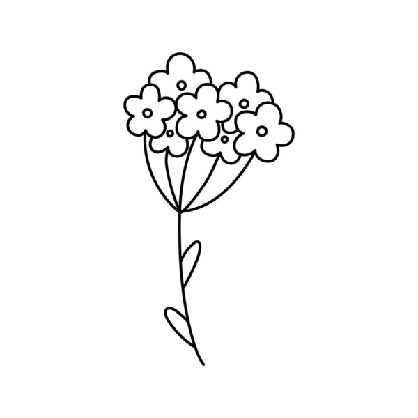 Doodle Met Planten Bloemen Gras Een Bos Van Bloeiwijzen Lineaire — Stockvector