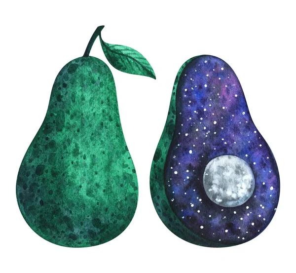 Avocado Space Stone Form Moon Watercolor Illustration Exotic Fruit Stylish — 图库照片