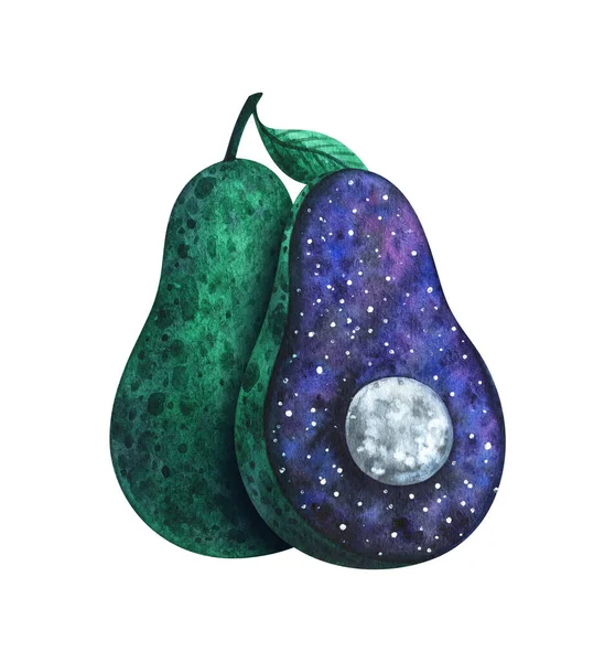 Avocat Avec Espace Une Pierre Forme Lune Illustration Aquarelle Fruit — Photo