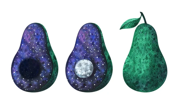 Avocado Space Stone Form Moon Watercolor Illustration Exotic Fruit Stylish — 图库照片