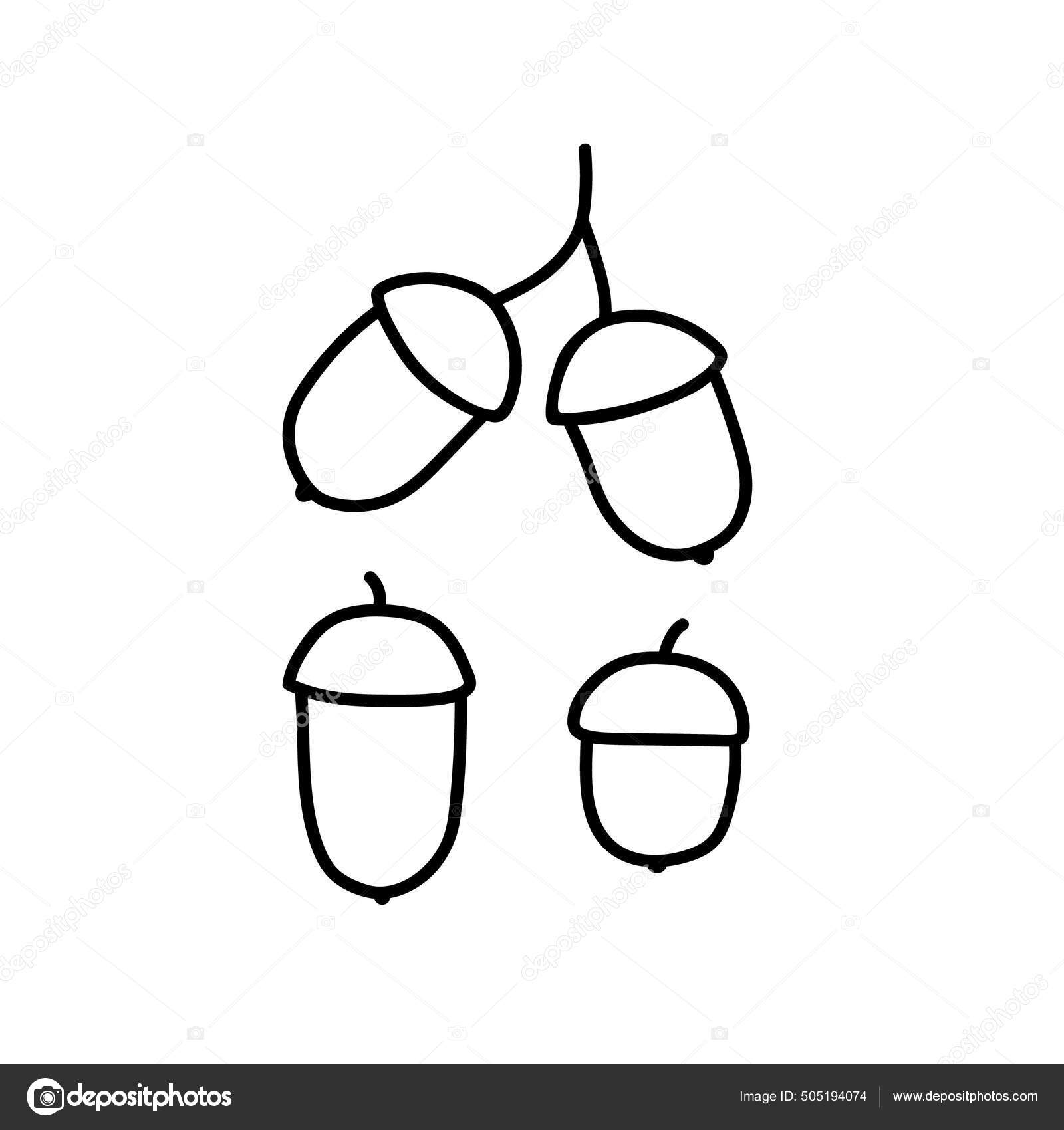 Image vectorielle Image Contour D'un Gland Doodle Une Icône Fruits Chêne  Dessin par ©AnnaSukhova - 505194074, image size:1600x1700