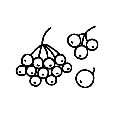 Bir demet kızılcık dutu ikonu. Viburnum meyvelerinin birleşik görüntüsü. Etiketler, dekor, kartpostallar, rozetler, boyama kitapları, logolar için bitkilerin basit siyah çizimi. Vektör bitkisi kümesi