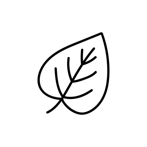 Doodle Linden Leaf Icon Contour Image Fallen Leaves Tree Simple — 스톡 벡터