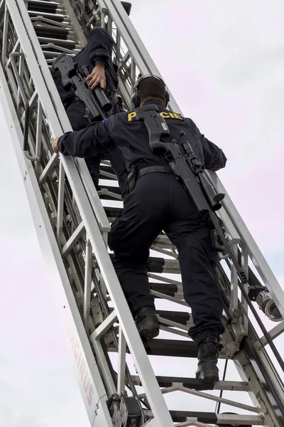 Francotirador militar apunta a un objetivo — Foto de Stock