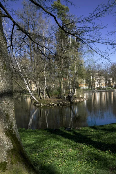 Schöner blühender Baum im Frühling schöner blühender Baum schöner blühender Baum im Frühling — Stockfoto