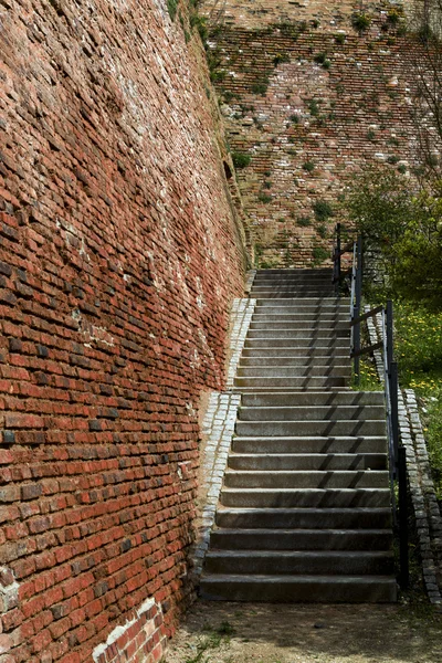 Pięknej historycznej fortecy w lecie — Zdjęcie stockowe