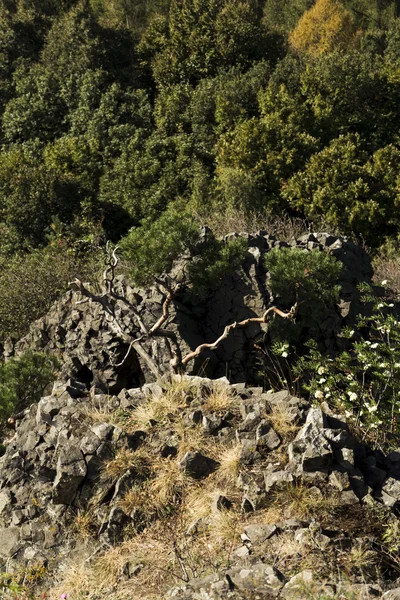 Paisaje alrededor de los altos acantilados —  Fotos de Stock