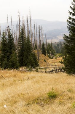 Dağlarda güzel sonbahar doğa