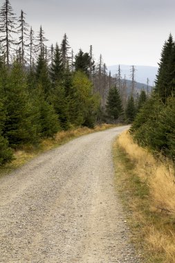 Dağlarda güzel sonbahar doğa